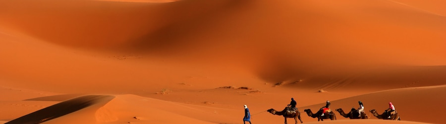 Le guide complet pour la Tunisie