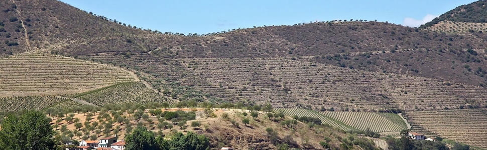 Itinéraire -  De Porto vers lEspagne La vallée du Douro (Portugal) et Salamanque (Espagne) - Vols inclus - CroisiEurope