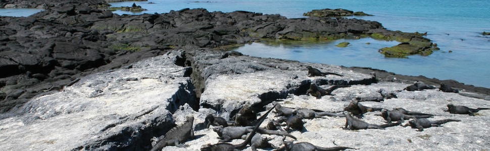 Itinéraire -  Iles Galapagos - Silversea