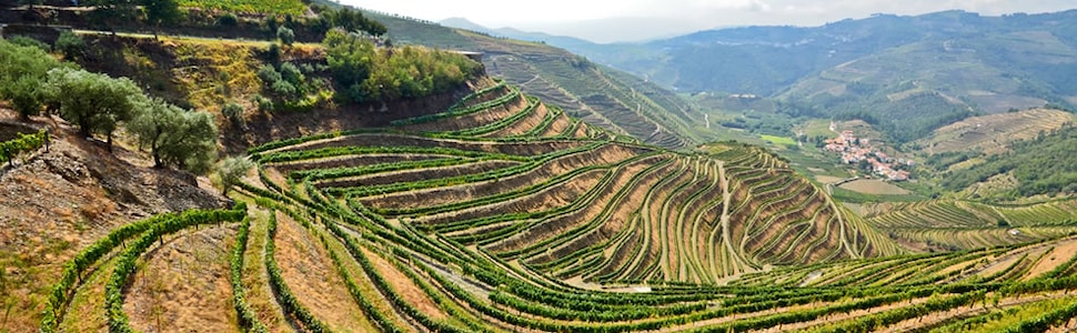 Itinéraire -  De Porto vers lEspagne La vallée du Douro (Portugal) et Salamanque (Espagne) - Vols inclus - CroisiEurope