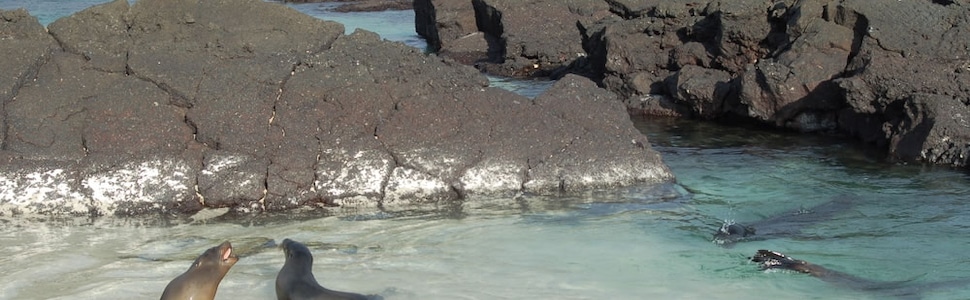 Itinéraire -  Iles Galapagos - Silversea