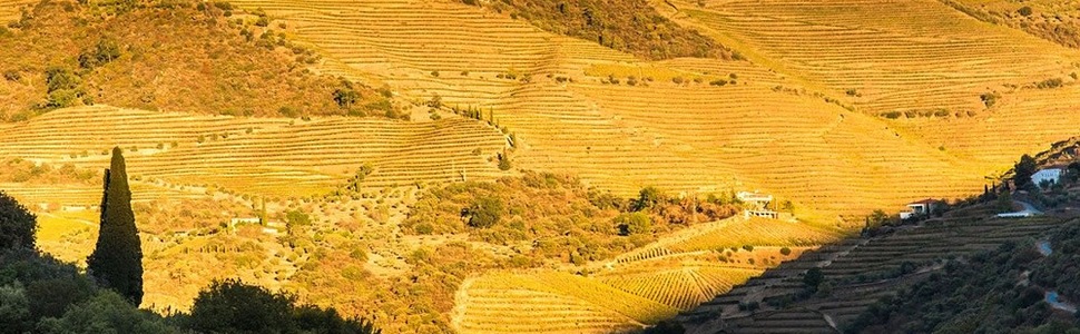 Itinéraire -  Portugal - AmaWaterways