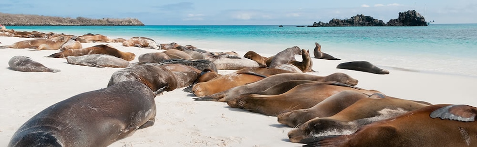 Itinéraire -  Iles Galapagos - Silversea